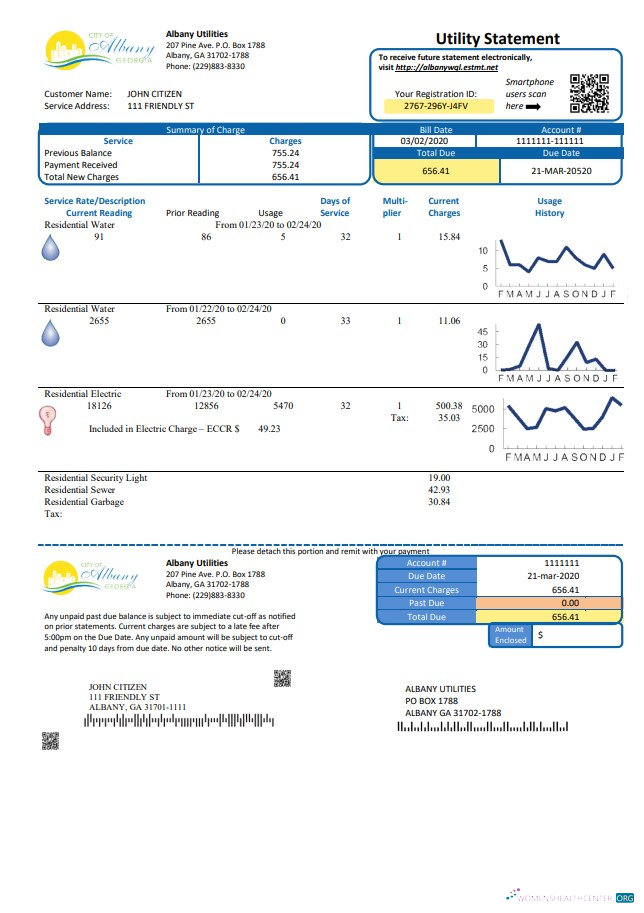 download USA Georgia City of Albany water and electricity utility bill template in Word and PDF format PDF template